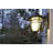 Monzon Wall Light-1573578053