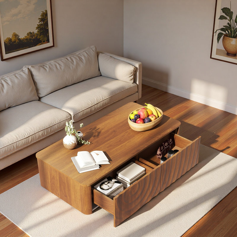 Table basse 2 tiroirs Modern, Brun