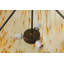 Dionne 3 - Light Semi Flush Mount