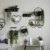 Vorodan Wall Planter (Set of 2)