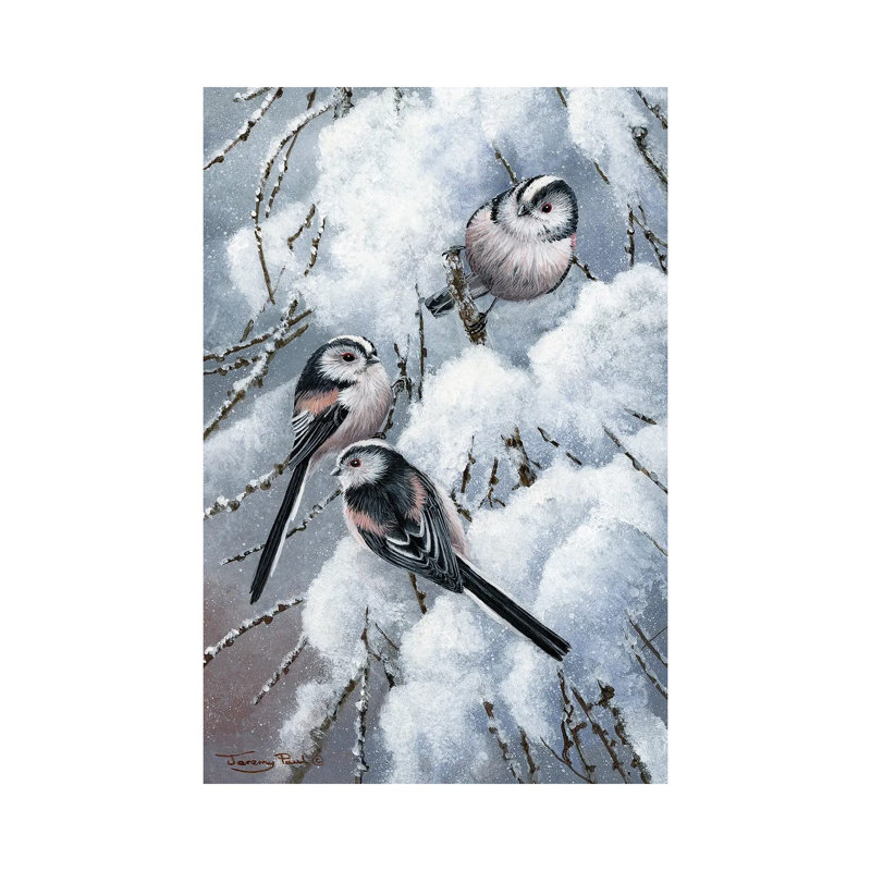 «Long Tailed Tits» par Jeremy Paul - Estampe numérique sur toile tendue avec châssis, H 18 po x l 12 po x P 1,5 po