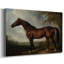 Animaux, série paysage CCDXCIV-685077007