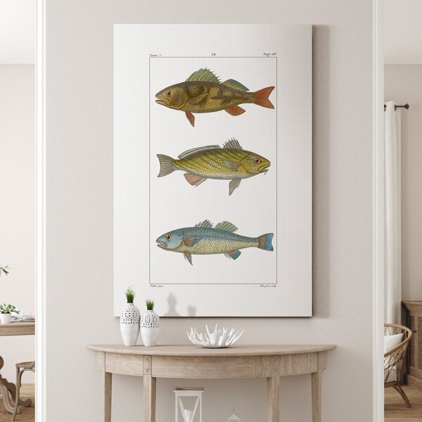 Millwood Pines Fishing Lures Framed On Canvas by Graffitee Studios Print