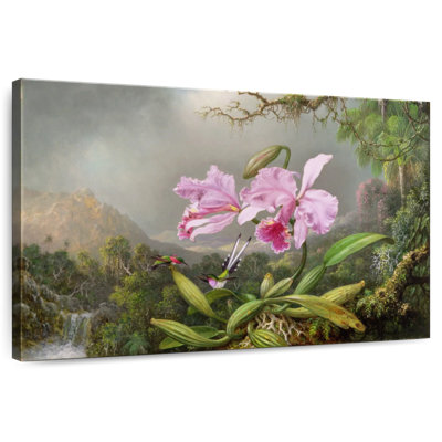 Étude d'une orchidée