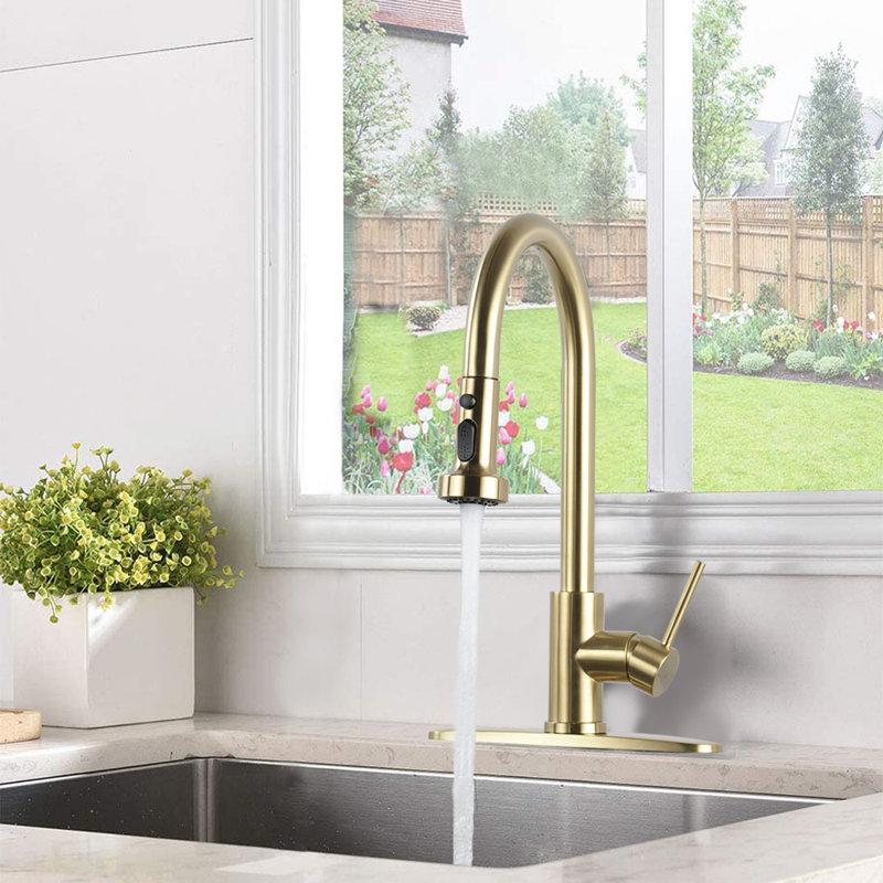 DORNBERG Pull Down Kitchen Faucet