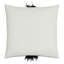 Raven Pillow Cover & Insert-78438680