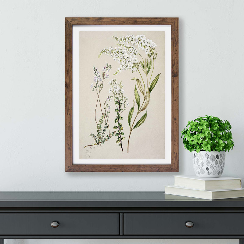 Veronica Flowers - Framed Print, Walnut, 24cm H x 33cm W x 2cm D