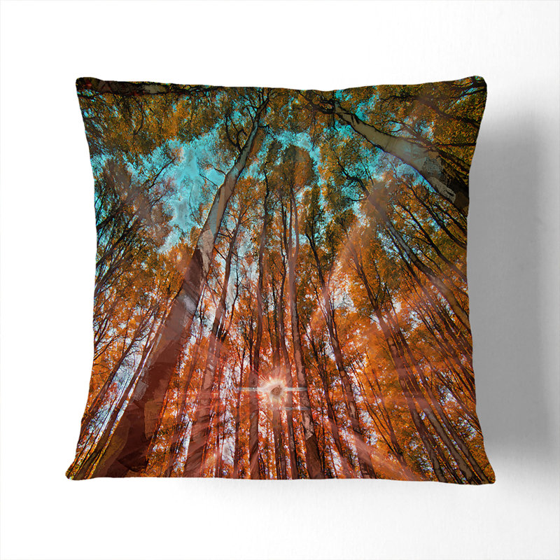 Floral Square Throw Cushion, 40cm H x 40cm W x 15cm D