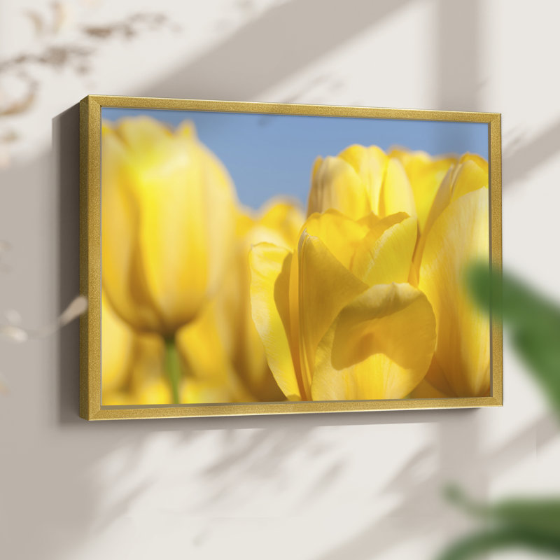 Jaune soleil I - impression encadrée - réversible, H 11 po x l 14 po