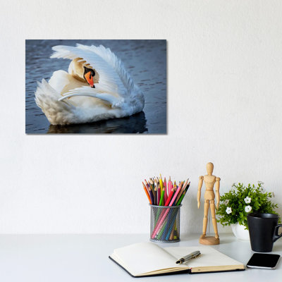 Preening by David Gardiner - Wrapped Canvas Print