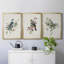 «Spring Song Blue Bird», ensemble de 3 peintures sur toile encadrées-1845700943-1845700939