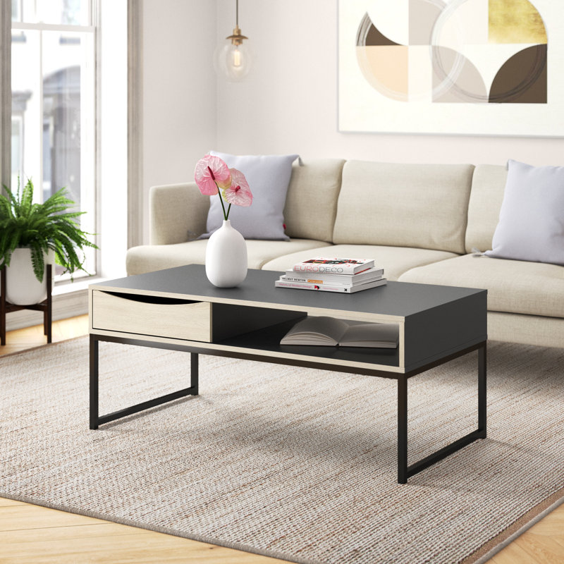 Sled Coffee Table with Storage