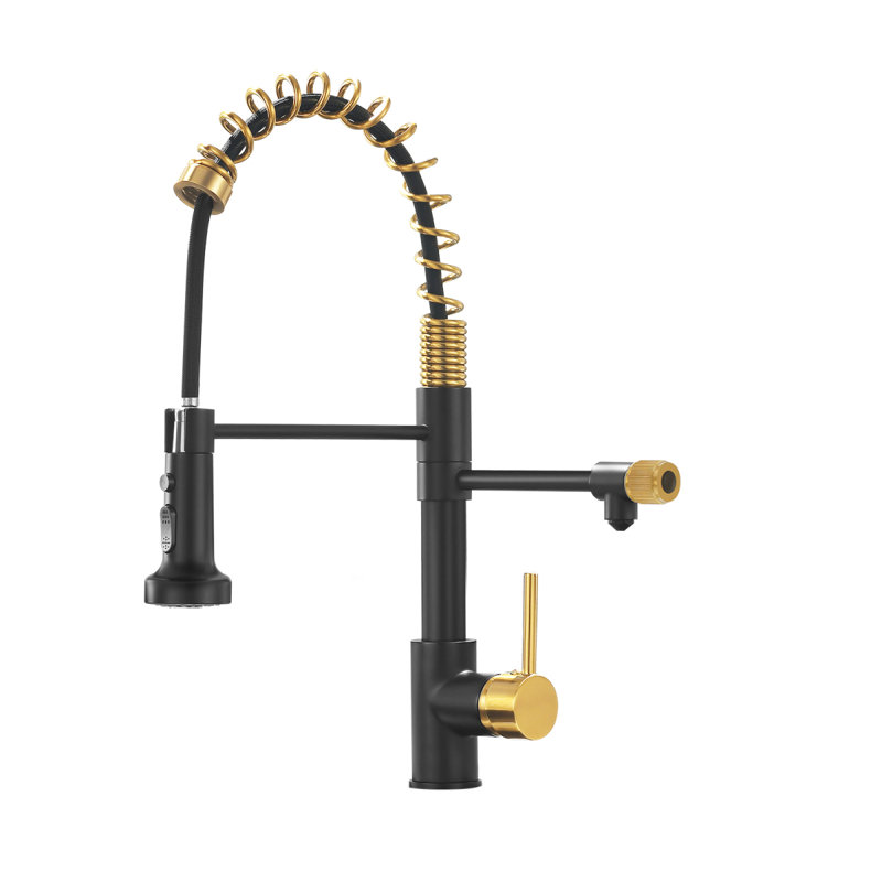Robinet de cuisine Purifier, Noir / or