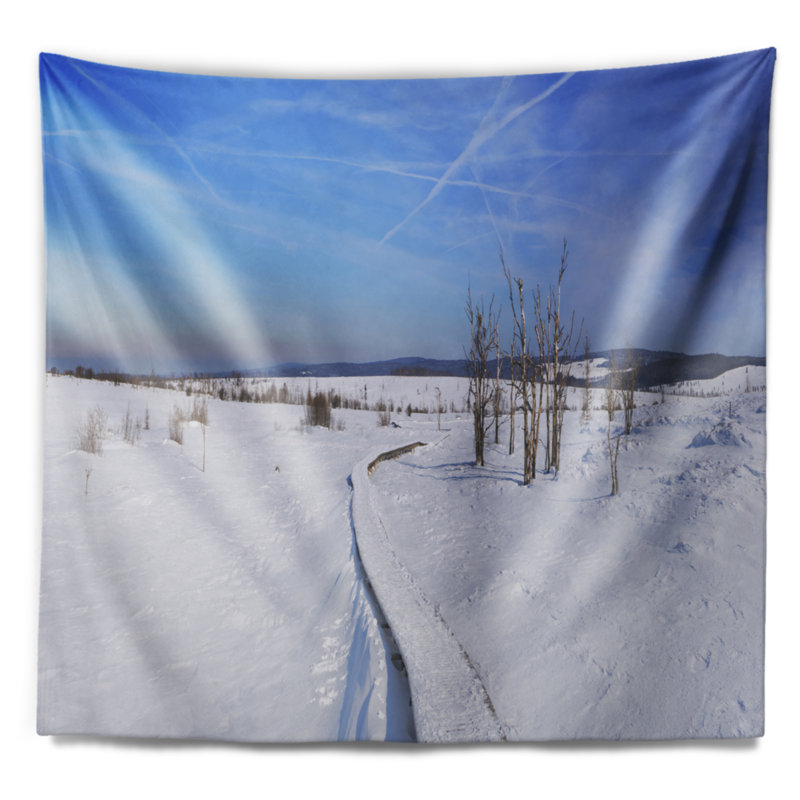 Tapisserie panorama hautes fagnes en belgique pour et fixation murale mer shore, H 78 po x l 92 po