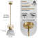 Adylene 1 - Light Modern Solid Brass Pendant Lights(Bulb Included)