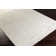 Lethe Oriental Indoor Rug
