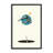Jump-105806131-105806133