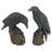 2 Piece Mystic Night Raven Figurine Set