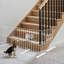 Short Dog Gate Pet Gates Puppy Gate 17 Inches Height Step Over P...