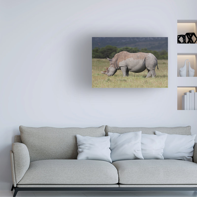 Bolog Bob Langrish White Rhino Canvas Art, 12" H x 19" W