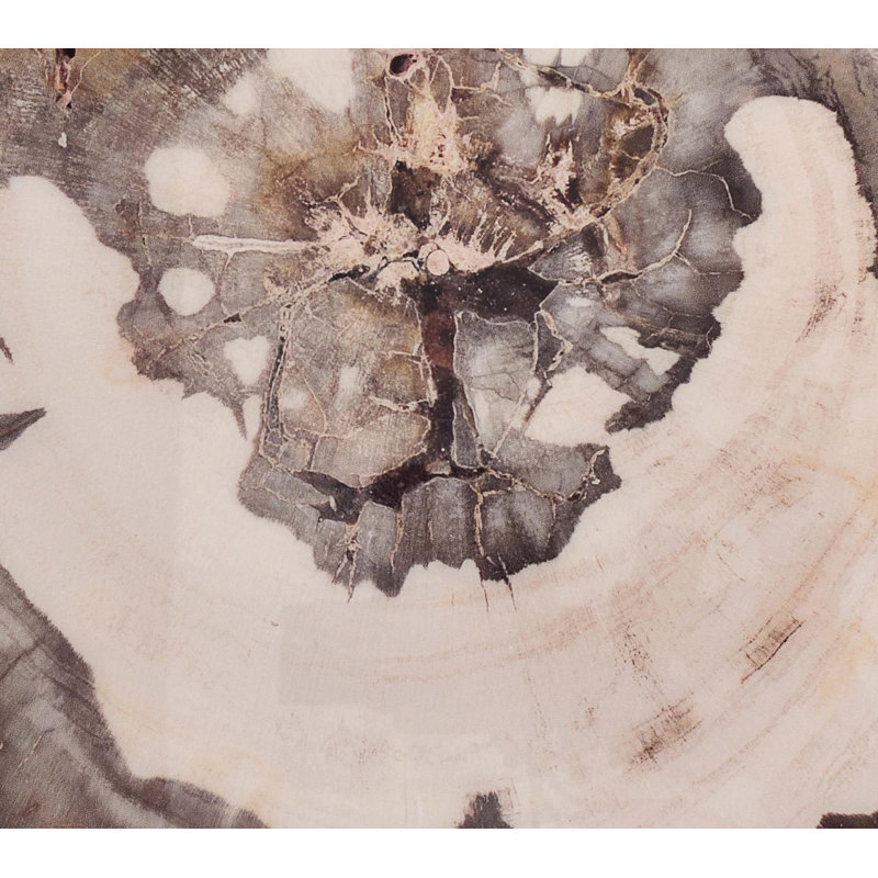 Petrified Coaster