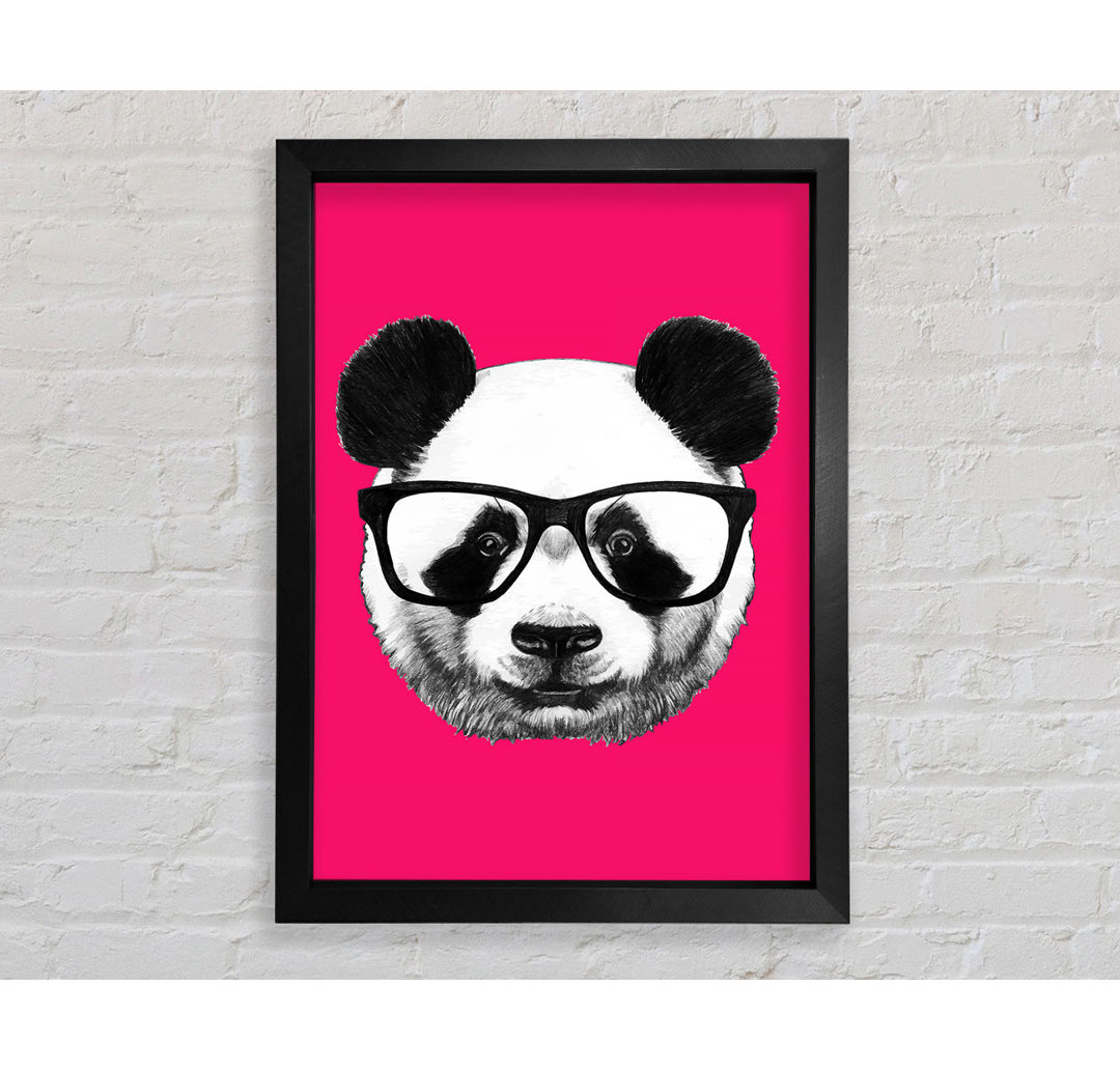 Funky Panda - Druck