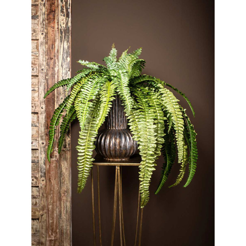 Varen Plant, Gold, 61cm H x 100cm W x 50cm D