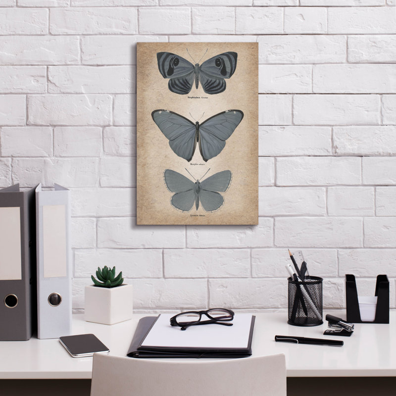 «Epic Graffiti« Vintage Butterflies Trio 1 »par Art Licensing Studio, art mural sur toile, 12 po x 18 po