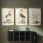 Antique Heron I - reproduction sur mesure encadrée de qualité supérieure - 3 pièces-489892143