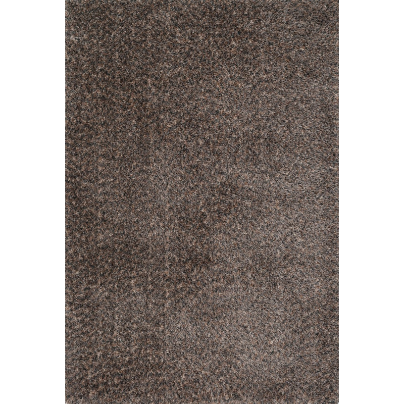 Tapis brun foncé Touffeté à la main hackël, Rectangle 5 pi x 7 pi 6 po