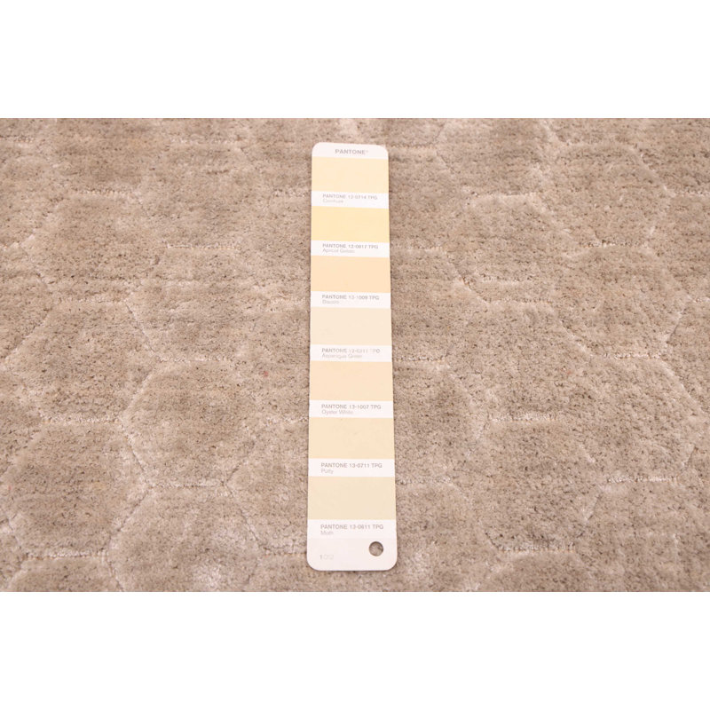 Elysian  Khaki Rug 7'11" x 10'0"