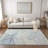 Alfonzo Washable Abstract Indoor / Outdoor Rug-238201871