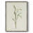 Olive Leaves I Framed Print - Solid Wood-1197908753