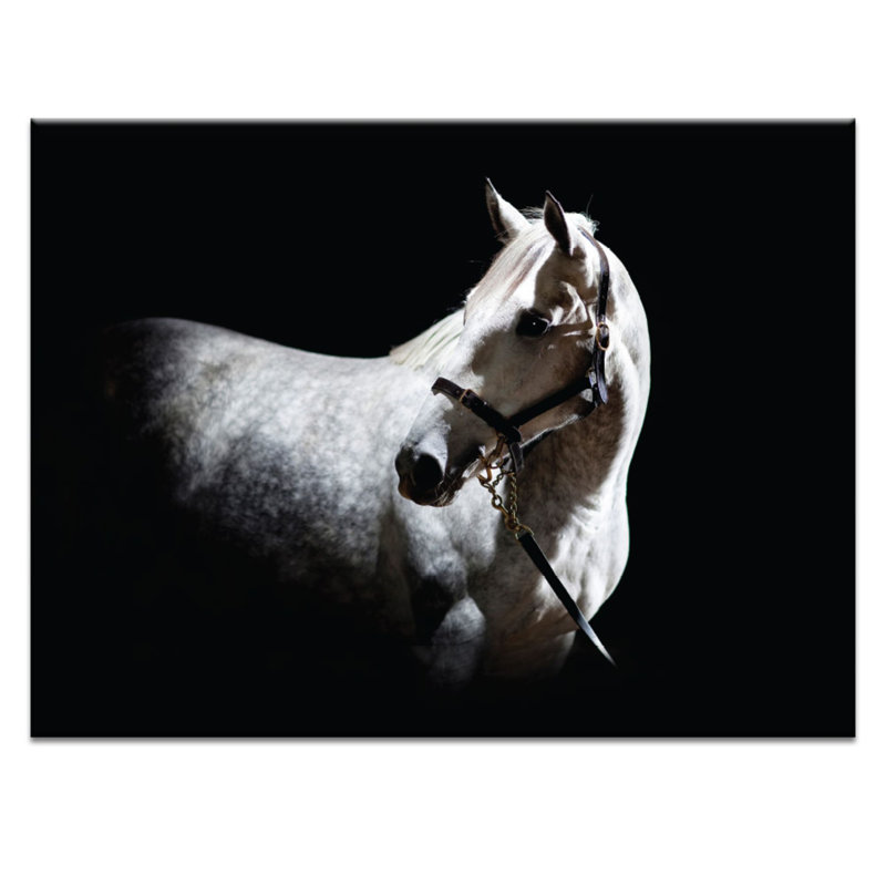 Joe Vittorio - Print on Canvas, 76cm H x 102cm W x 3.8cm D