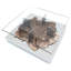 Pandion Walnut Wood Square Coffee Table-801491563