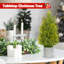 Petit sapin de table artificiel avec pot (15 pouces)