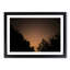 Forest at Night in Abstract - Picture Frame Graphic Art Print-55723366-55723371