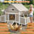 Large Chicken Coop With Two Nesting Box