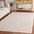 Reflection Performance Oriental Indoor Rug-479941856