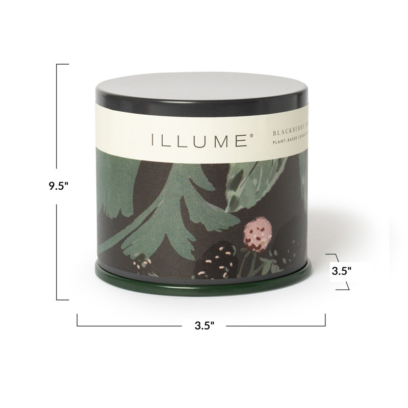 Blackberry Absinthe Aromatic Reed Diffuser with White Ceramic Collar