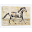 Golden Stallion I, impression sur toile tendue-19753439-74876383-74876384