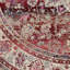 Boynton Oriental Area Rug-34610242