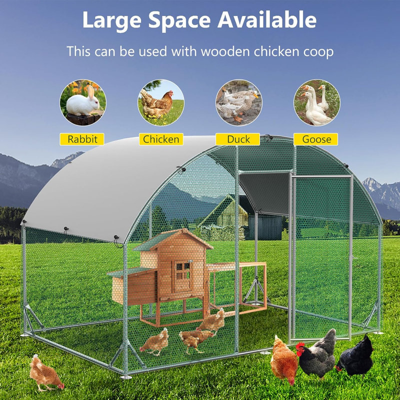 Erisa Chicken Run, 76.80" H x 78" W x 120" D