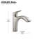 Rival Single-Handle Pull-Out Kitchen Sink Faucet With Two-Function Sprayhead