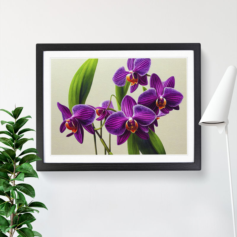 Intriguing Orchid Flowers - Single Picture Frame Print, 46cm H x 64cm W x 2cm D, Black