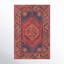 Isthia Oriental Red/Blue/Orange Area Rug-97270283
