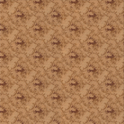Tapis de zone brun à motif Timmothy