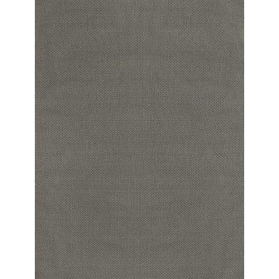 Paani Hand Loomed Area Rug in Taupe