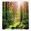 Ensemble de rideau de douche Forest + crochets-44244499