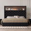 Bed Frame Queen Size Velvet Tufted Soft With Usb Port And Night Light,52'' High With Headboard With Rivet Decoration, Wing-Back Platform Bed With Headboard Shelf